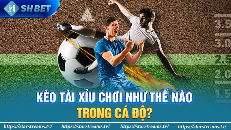 Bí mật chi tiết chinh phục kèo tài xỉu cho người mới bắt đầu 1 Kèo tài xỉu chơi như thế nào trong cá độ?