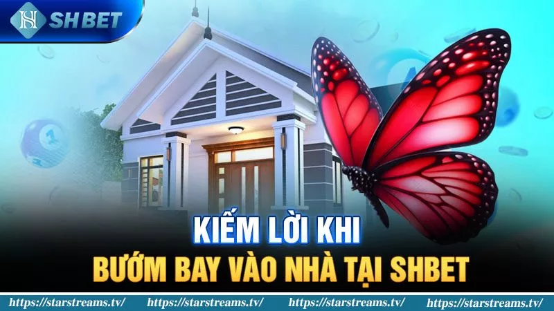SHBET giải đáp bướm bay vào nhà có chứng tỏ điều gì? 4 Kiếm lời khi bướm bay vào nhà tại SHBET